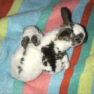 Meet your Posher, Kaylee